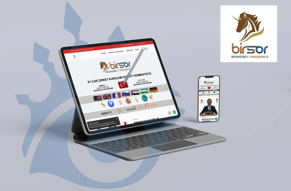 Birsor — Küresel Düşünen Danışmanlık Hizmeti — Web Tasarım