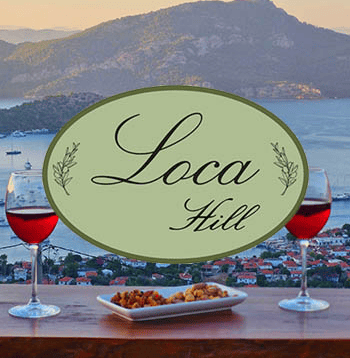 Loca Hill — Doğayla İç İçe Bir Dijital Deneyim — Web Tasarım